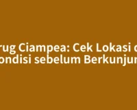 Curug Ciampea: Cek Lokasi dan Kondisi sebelum Berkunjung