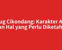 Curug Cikondang: Karakter Alam dan Hal yang Perlu Diketahui