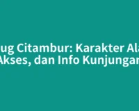 Curug Citambur: Karakter Alam, Akses, dan Info Kunjungan