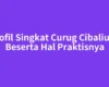 Profil Singkat Curug Cibaliung Beserta Hal Praktisnya