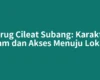 Curug Cileat Subang: Karakter Alam dan Akses Menuju Lokasi