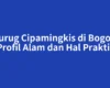 Curug Cipamingkis di Bogor: Profil Alam dan Hal Praktis