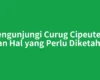 Mengunjungi Curug Cipeuteuy dan Hal yang Perlu Diketahui
