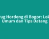 Curug Hordeng di Bogor: Lokasi Umum dan Tips Datang