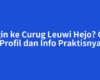 Ingin ke Curug Leuwi Hejo? Cek Profil dan Info Praktisnya