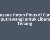 Suasana Hutan Pinus di Curug Ciputrawangi untuk Liburan Tenang